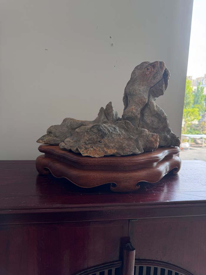 1755854709982494.jpg 狮子山下4.jpg