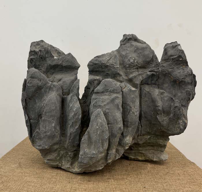 1757580620973129.jpg 莲花瓣1.jpg